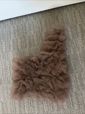 Zara Ruffled One-Shoulder Tulle Top in Dusty Brown